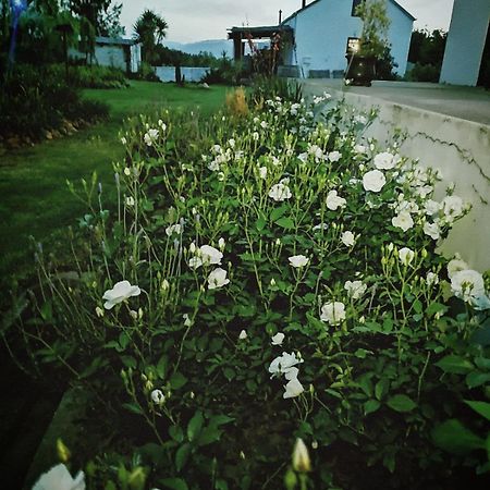 Klipfontein Rustic Farm & Camping 툴바흐 외부 사진