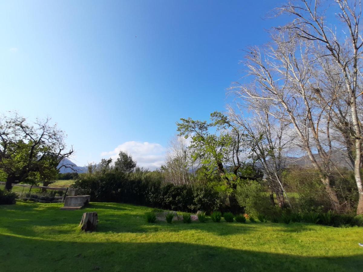 Klipfontein Rustic Farm & Camping 툴바흐 외부 사진