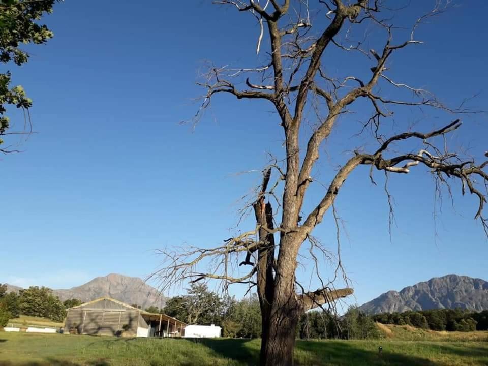 Klipfontein Rustic Farm & Camping 툴바흐 외부 사진