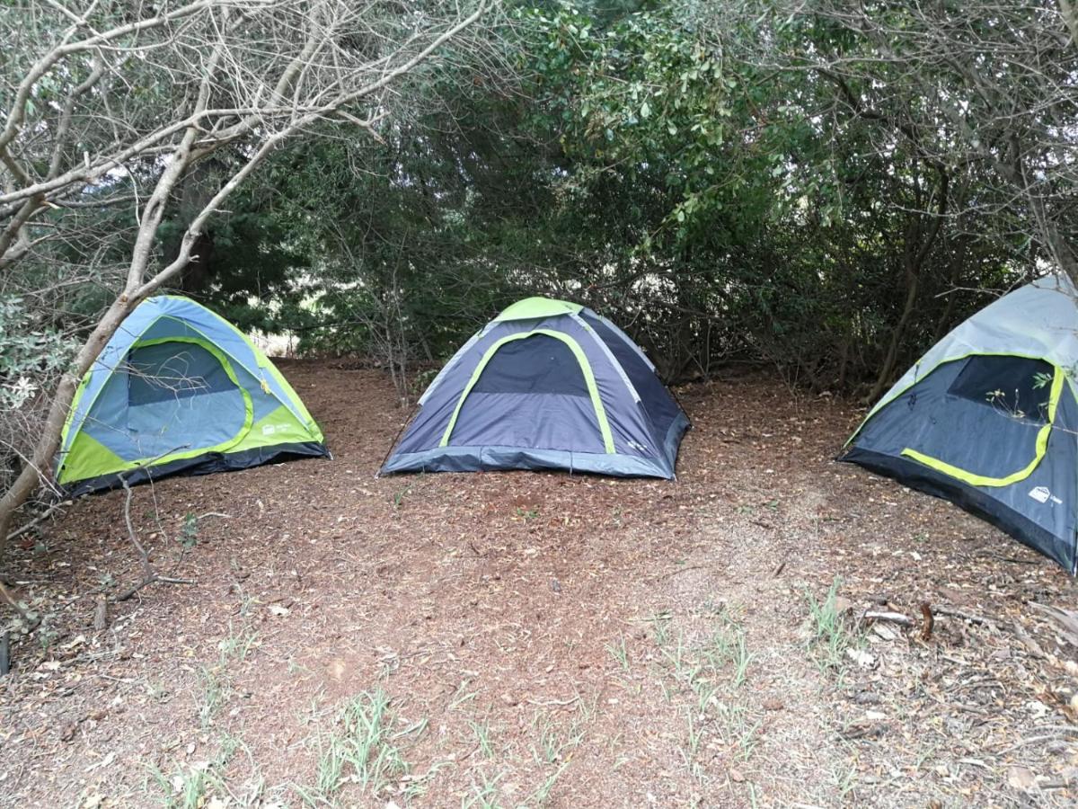 Klipfontein Rustic Farm & Camping 툴바흐 외부 사진