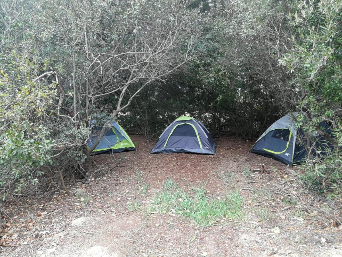 Klipfontein Rustic Farm & Camping 툴바흐 외부 사진