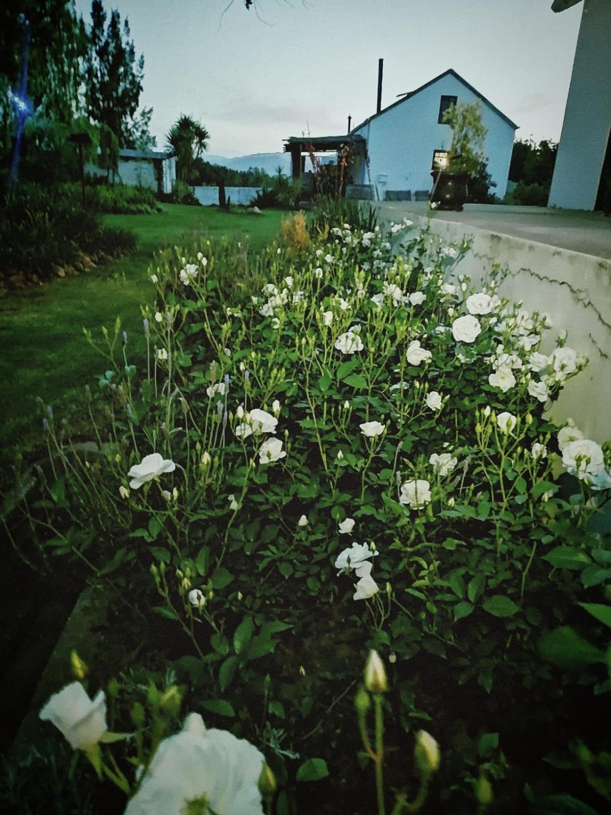 Klipfontein Rustic Farm & Camping 툴바흐 외부 사진